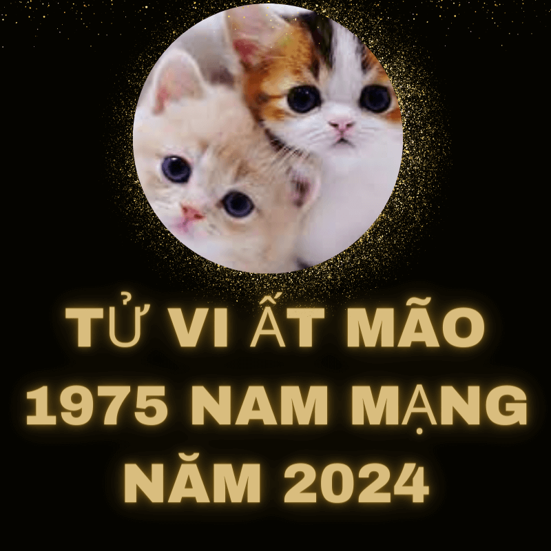 Tử vi ất mão 1975 nam mạng năm 2024