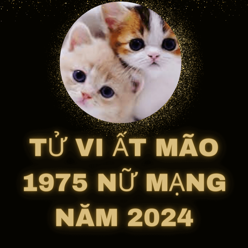 Tử vi ất mão 1975 nữ mạng năm 2024