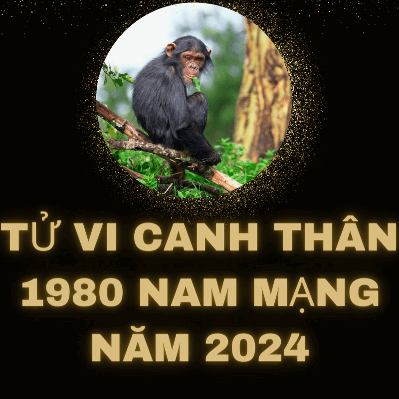 Tử vi canh thân 1980 nam mạng năm 2024