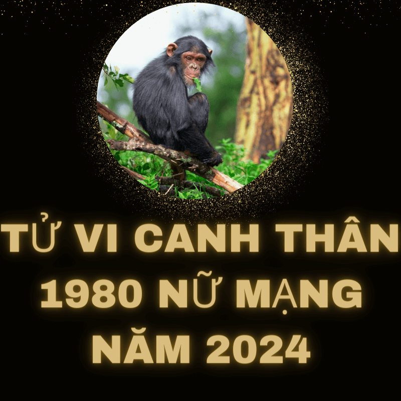 Tử vi canh thân 1980 nữ mạng năm 2024