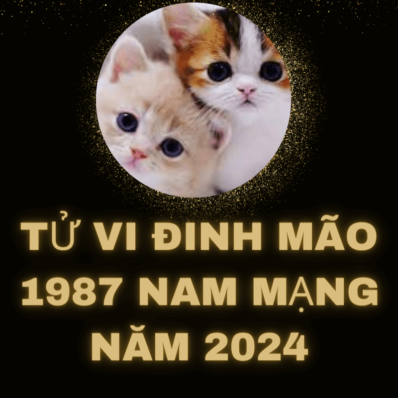 Tử vi đinh mão 1987 nam mạng 2024