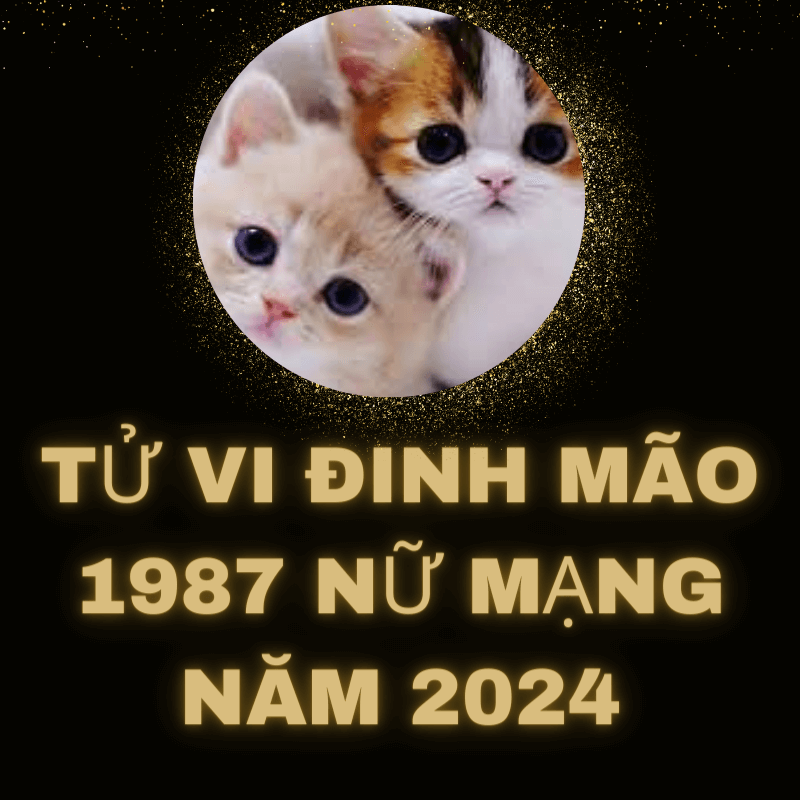 Tử vi đinh mão 1987 nữ mạng 2024