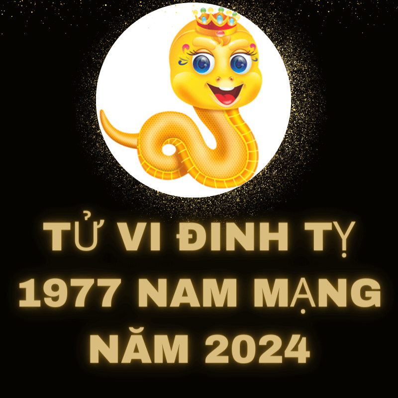 Tử vi đinh tỵ 1977 nam mạng năm 2024