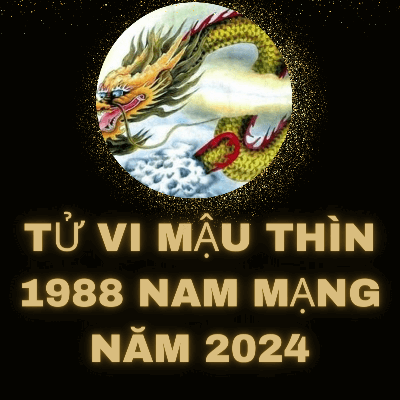 Tử vi mậu thìn 1988 nam mạng 2024