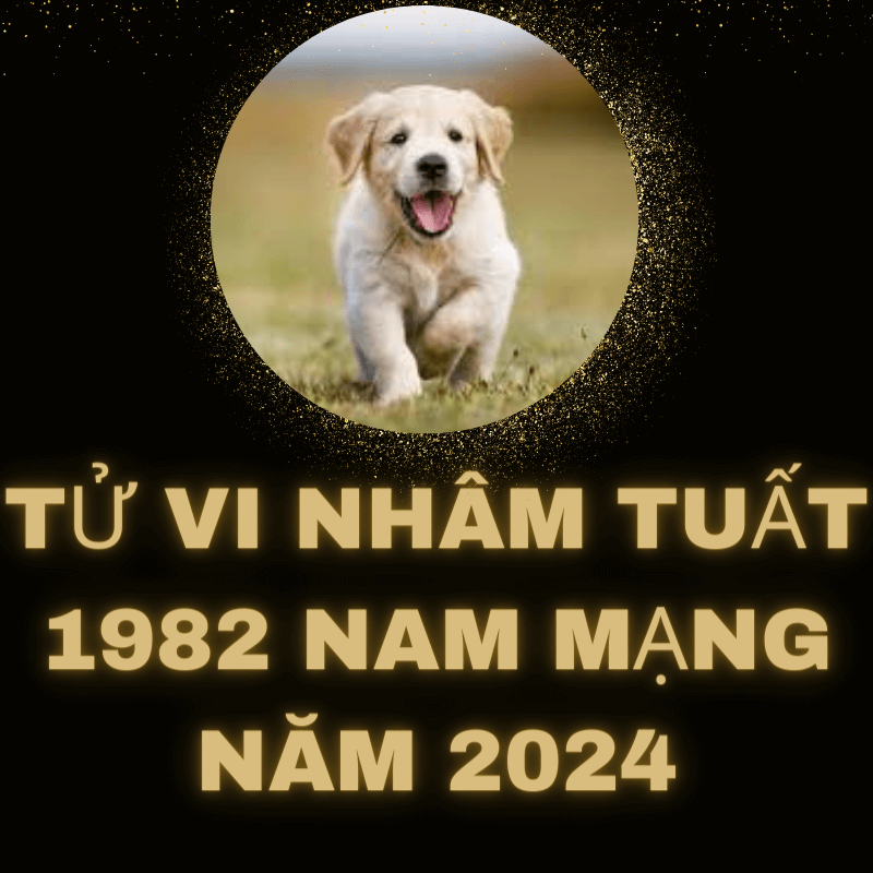 Tử vi nhâm tuất 1982 nam mạng năm 2024