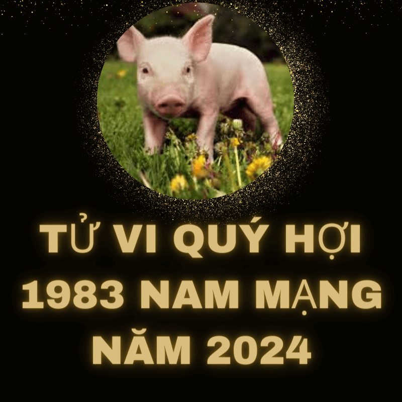 Tử vi quý hợi 1983 nam mạng năm 2024