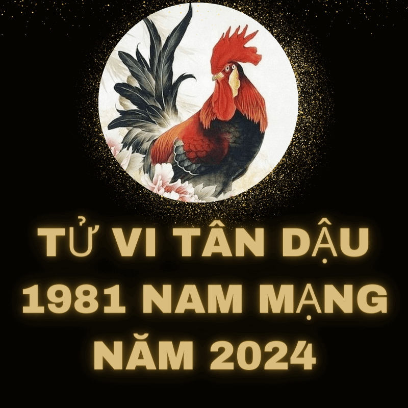 Tử vi tân dậu 1981 nam mạng 2024