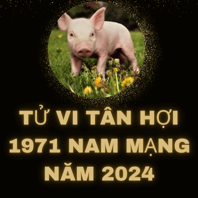 Tử vi tân hợi 1971 nam mạng năm 2024