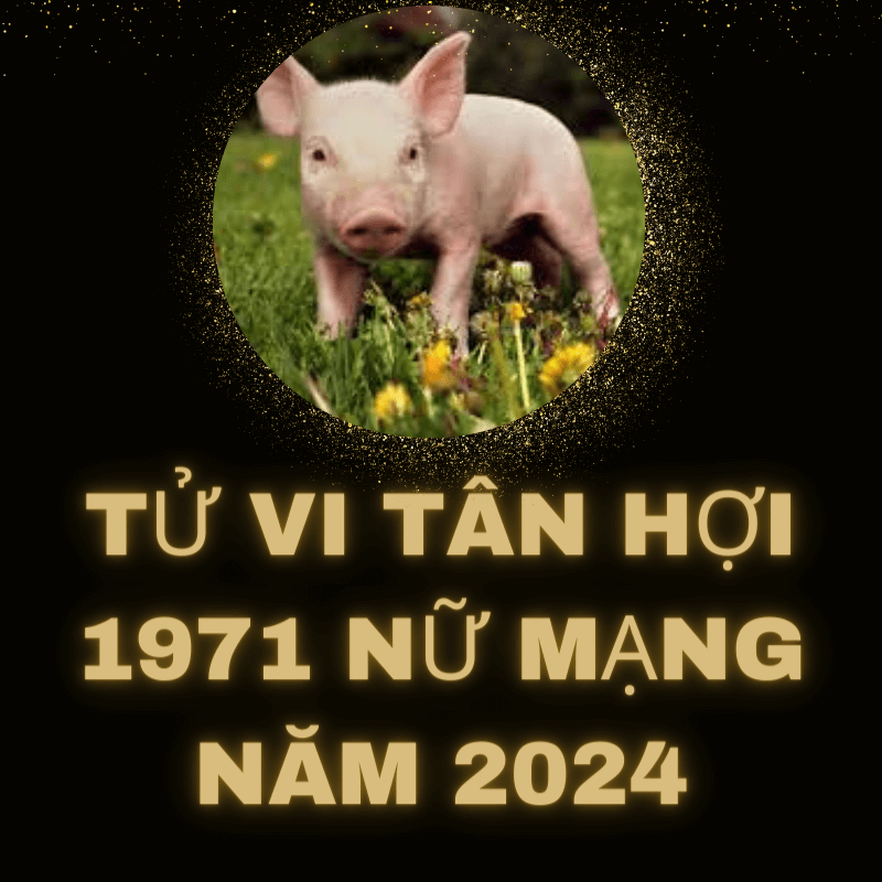 Tử vi tân hợi 1971 nữ mạng năm 2024