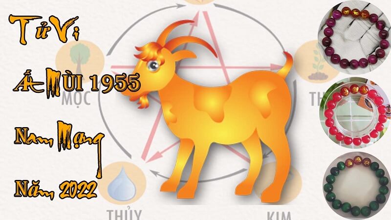Tử Vi Tuổi Ất Mùi 1955 Nam Mạng Năm 2022