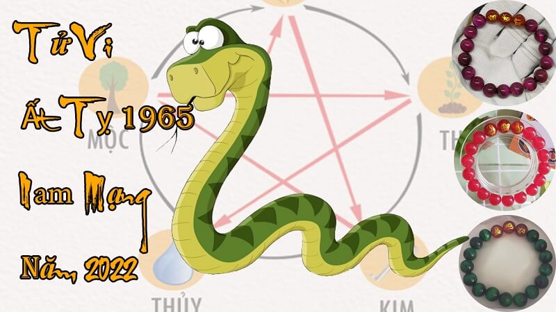 TỬ VI TUỔI ẤT TỴ 1965 NAM MẠNG TRONG NĂM 2022