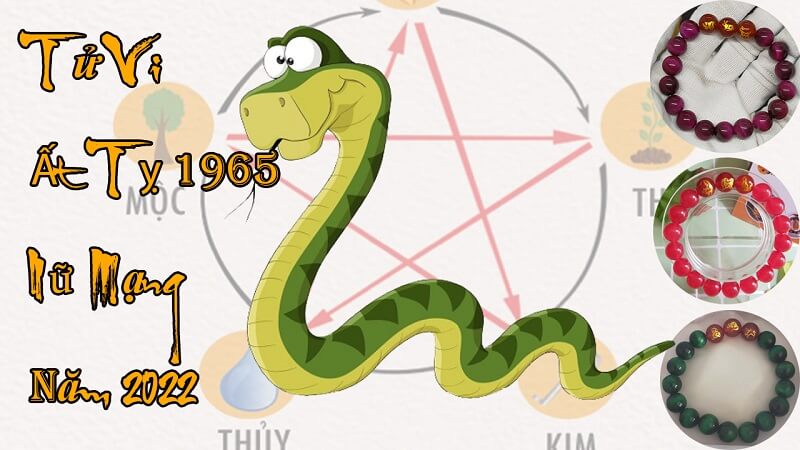 TỬ VI ẤT TỴ 1965 NỮ MẠNG NĂM 2022