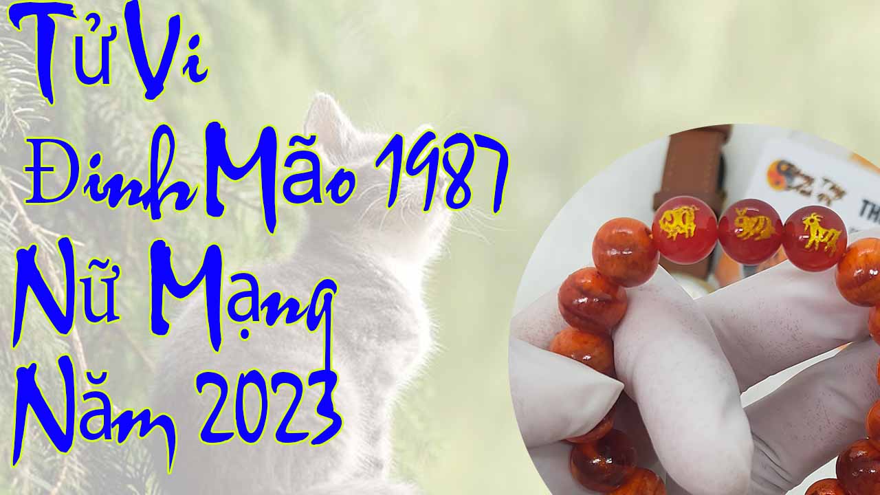 Tử vi tuổi đinh mão 1987 nữ mạng năm 2023