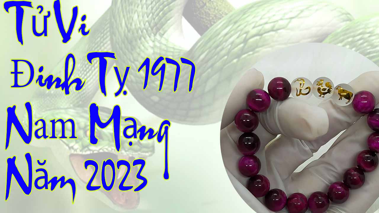 Xem tử vi Đinh Tỵ 1977 nam mạng năm 2023