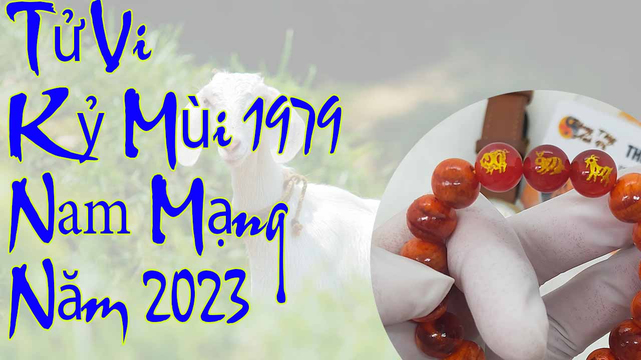 Tử vi tuổi kỷ mùi 1979 nam mạng năm 2023