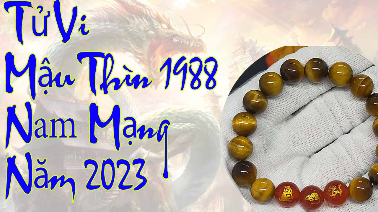 Tử vi tuổi Mậu Thìn 1988 nam mạng năm 2023