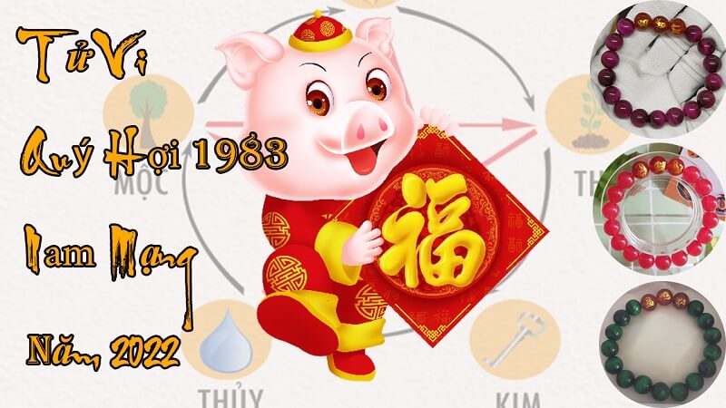 Tử vi quý hợi 1983 nam mạng năm 2022