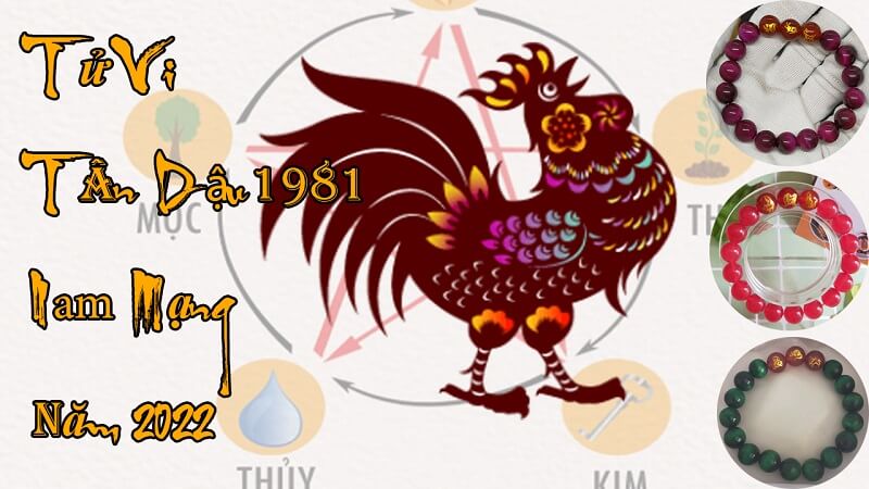 Tử vi tân dậu 1981 nam mạng năm 2022