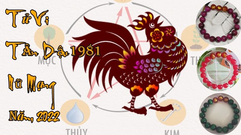Tử vi tân dậu 1981 nữ mạng năm 2022