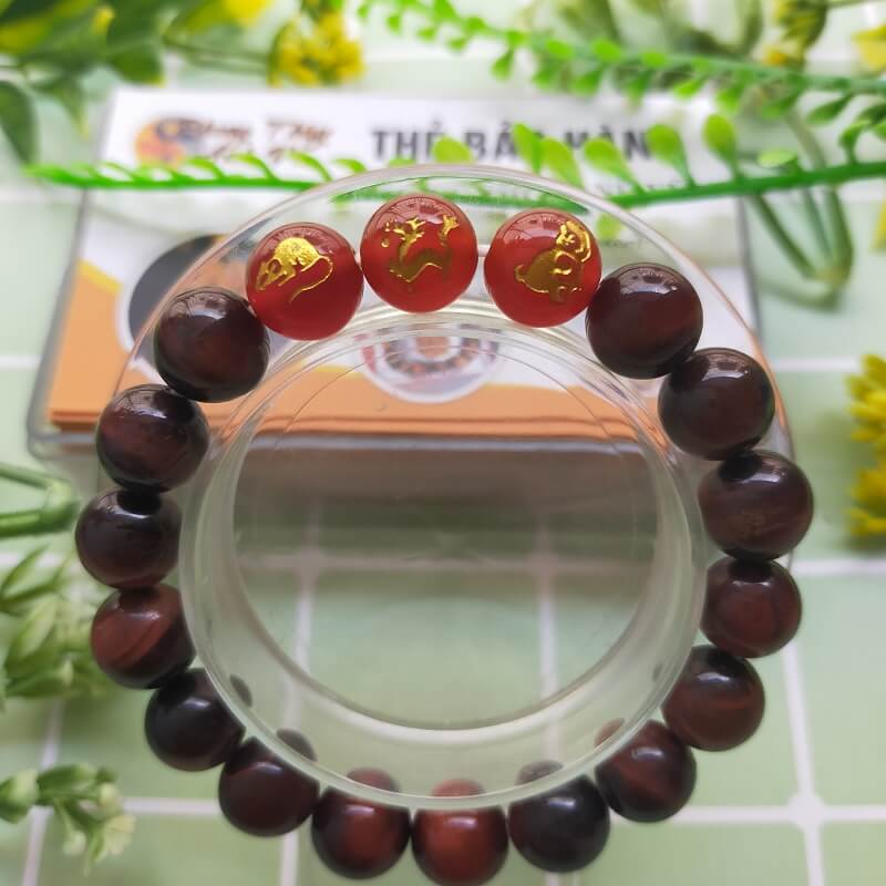 Tam Hợp Thân Tý Thìn Những Điều Nên Biết - Vòng Tam Hợp Thân Tý Thìn